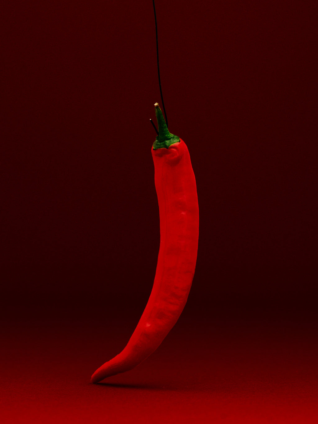 Rød chili som henger i en tråd, mot dyp rød bakgrunn