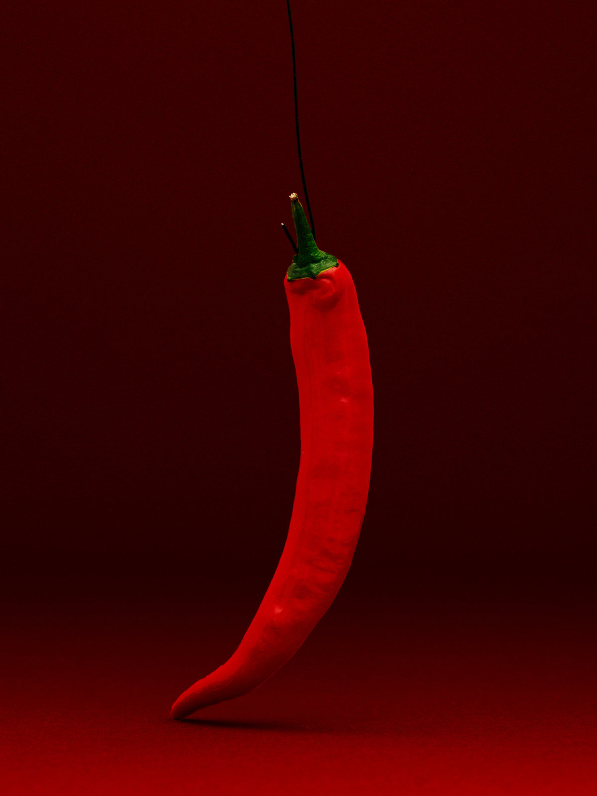 Rød chili som henger i en tråd, mot dyp rød bakgrunn