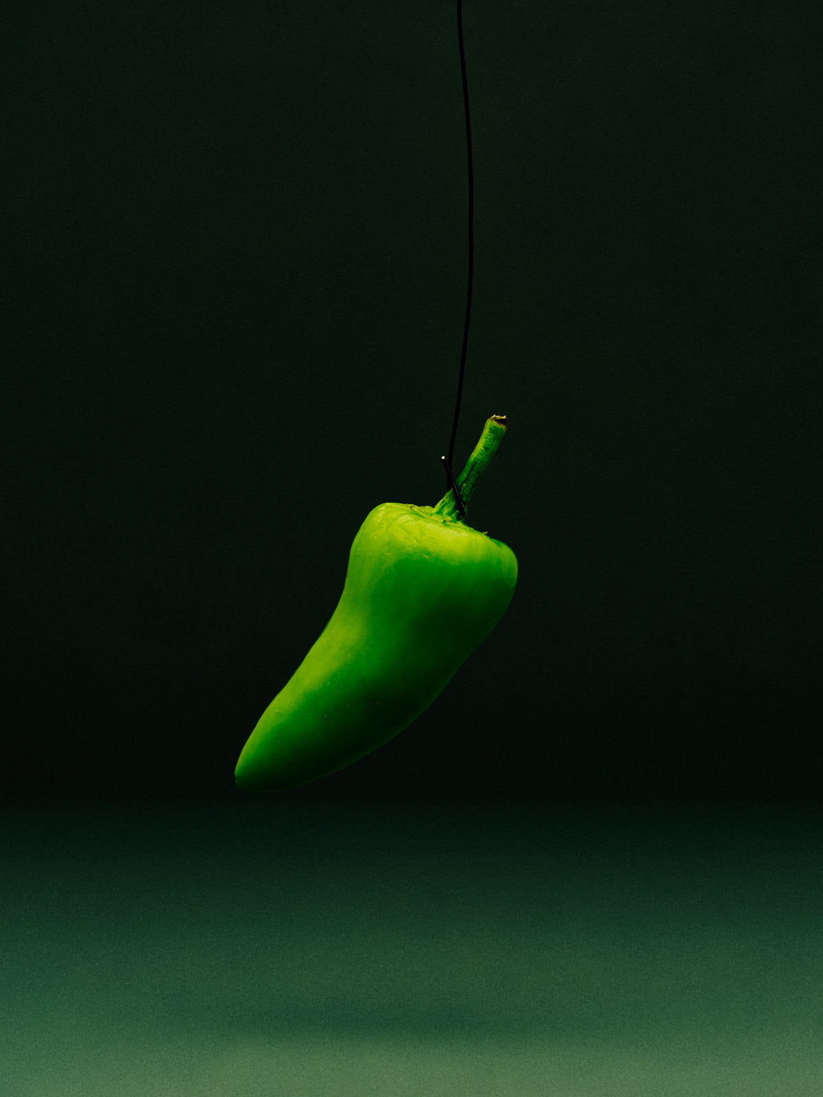 Grønn jalapeño som henger i en tråd, mot mørk grønn bakgrunn